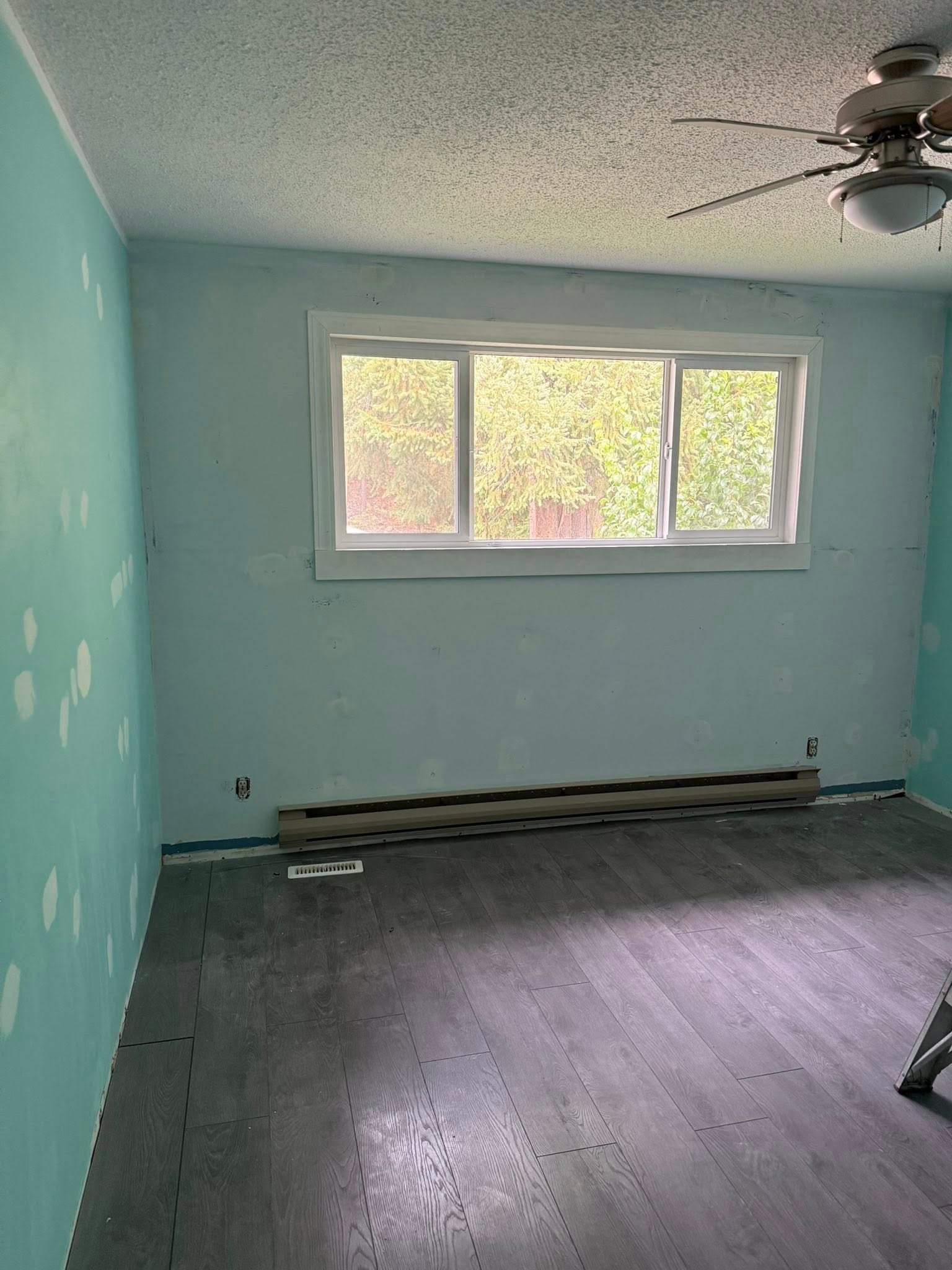Ceiling painting finished by Broadview True Coat Painting in Bolingbrook